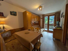 Appartement cosy pour 5, plein sud, au centre d'Arêches-Beaufort, proche pistes avec piscine et wifi - FR-1-342-267